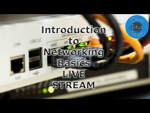 Basic Networking | Tutorial Creation with Chat | Live Stream