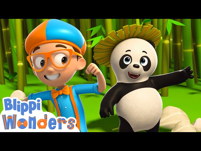 Blippi meets animals in a Rainforest! | Blippi Wonders Educational Videos for Kids