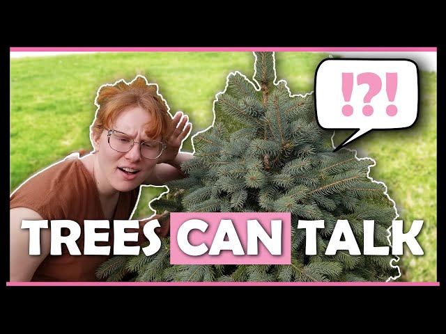 I Can Talk to Trees... Psychic Medium Speaks to Plants | Do Trees Have Souls?
