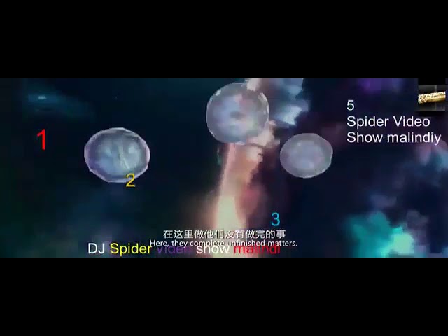 DJ SPIDER KE MOVIE By DJ Skapol