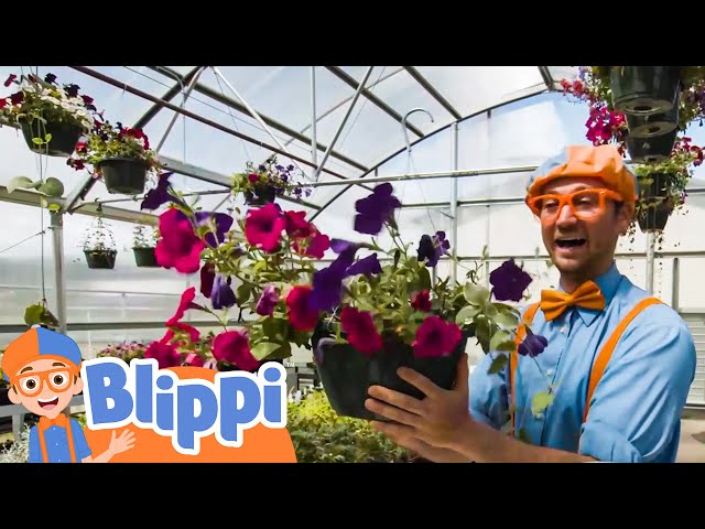 Learn Colors with Blippi - Watch Plants Grow! | Kids TV Shows | Cartoons For Kids | Fun Anime |