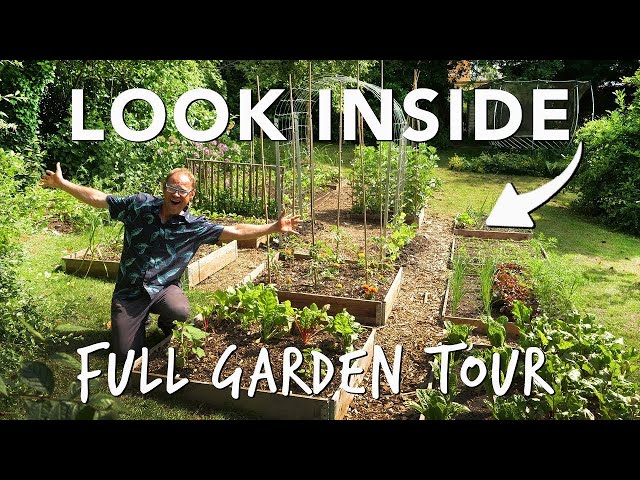 Summer Vegetable Garden: The Full Tour