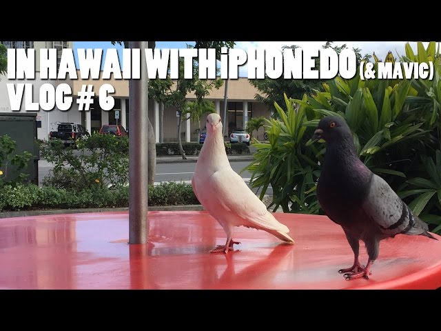 In Hawaii with iPhonedo (& Mavic) Vlog #6