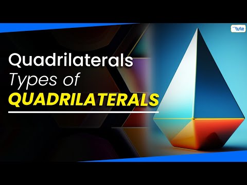 Properties of Quadrilateral | Math | LetsTute