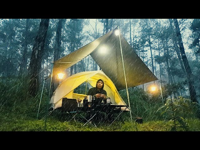 🌧️ RELAX on FLOATING TENT, rain camping in pine forest (CAMPING ASMR)