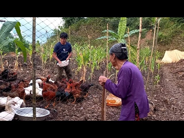 Taking Care of Mom, Building a Chicken Coop, Future Life, Episode 67