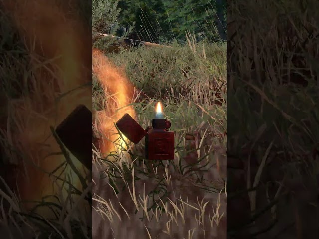 This game lets you set everything on fire @SquirrelPlus #derailvalley #fire #experiment