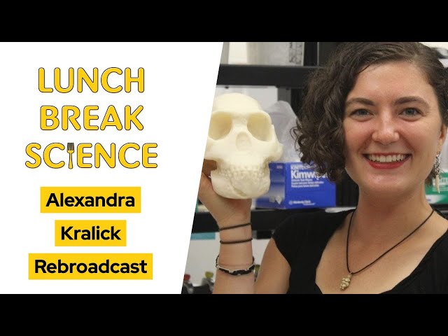 Orangutan Skeletons Bust the Sex Binary | Alexandra Kralick Rebroadcast | Lunch Break Science