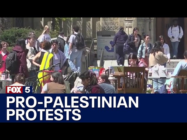 Pro-Palestinian protesters at US universities | FOX 5 News