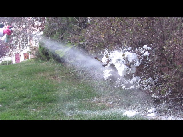 Spraying a Wasp Nest 03