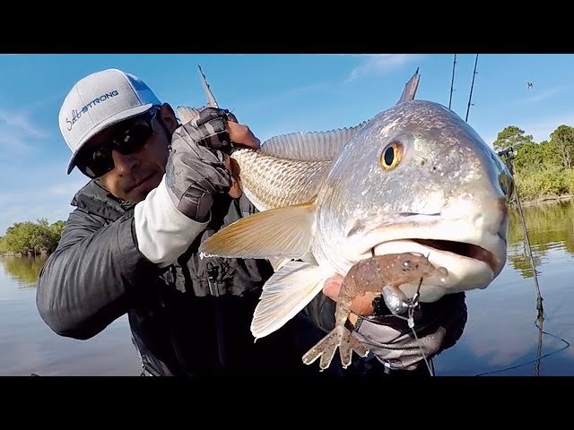 How To Catch INSHORE SLAMS Before, During & After COLD FRONTS