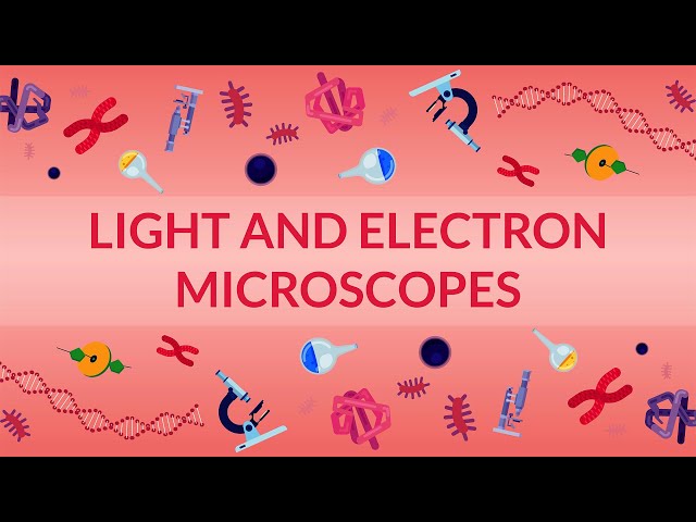 WHAT ARE LIGHT AND ELECTRON MICROSCOPES? - HOW DO THEY WORK?