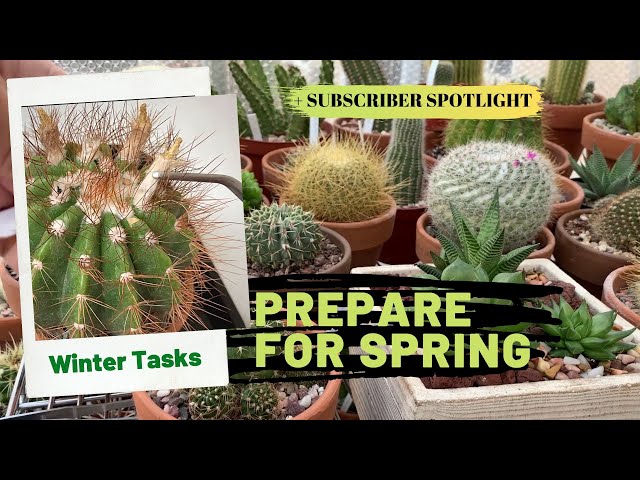 Preparing for Spring/Winter Gardening Tasks (Cactus and Succulents) plus Subscriber Spotlight #2