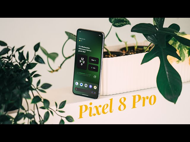 Google Pixel 8 Pro - Well Rounded!