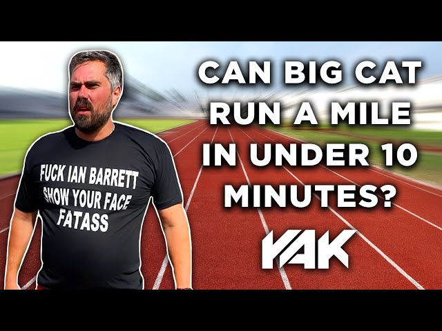 Big Cat Attempts to Run a Mile (FULL VIDEO)