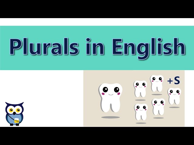 Plurals in English
