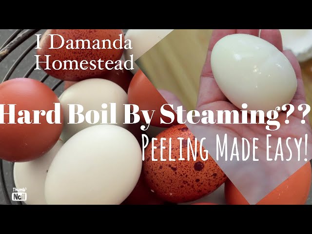 Hard Boil Farm Fresh Eggs, Steam Them! The Easy Peel Method That Actually Works!