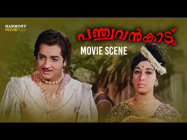 Panchavan Kadu Movie Scene | Prem Nazir | Sathyan | Sheela | Sharada