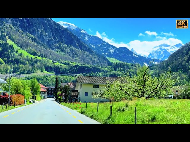Beautiful Spring in Central Switzerland with Snow-capped Mountains | #swiss #swissview