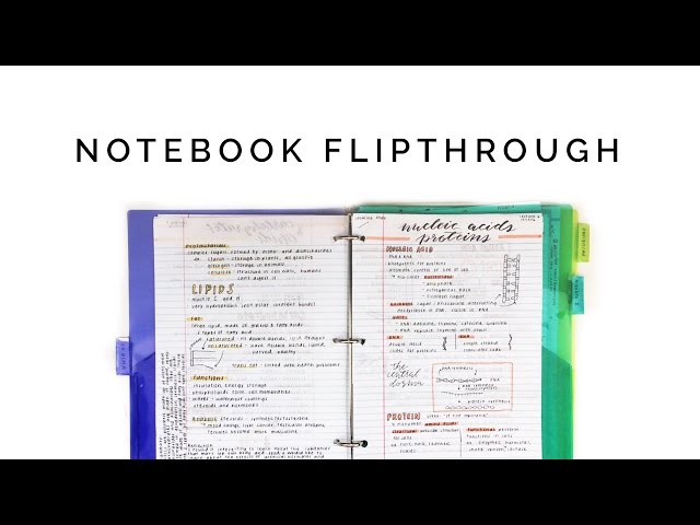 flipping through ALL of my notes! 📒 how i organize my notes