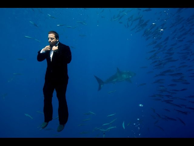 Swimming with Sharks | David Blaine