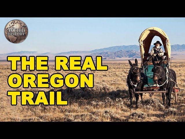 What It Was Like to Be On the Oregon Trail