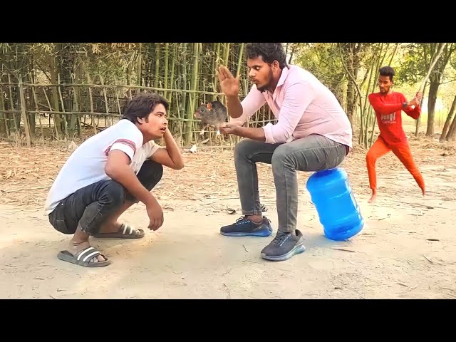New comedy amazing funny😂Videos 2023 New year funny video  By Bindas Fun Ds2 Ep-95