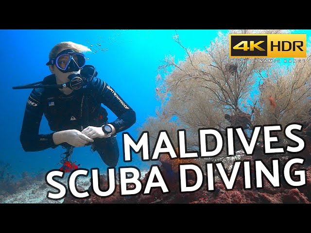 Maldives Scuba Diving on Emperor Explorer Liveaboard in 4k HDR