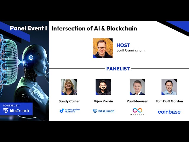 Davos 2024 Expert Panel on the "Intersection of AI & Blockchain"