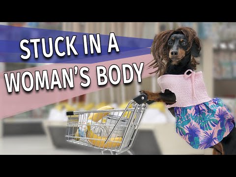 Ep 9. Crusoe Gets Stuck in Mum's Body! - Cute & Funny Dog Video