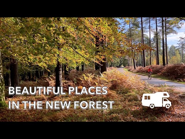 TOURING THE BEAUTIFUL NEW FOREST NATIONAL PARK FROM BLACK KNOWL CARAVAN & MOTORHOME CLUB CAMPSITE