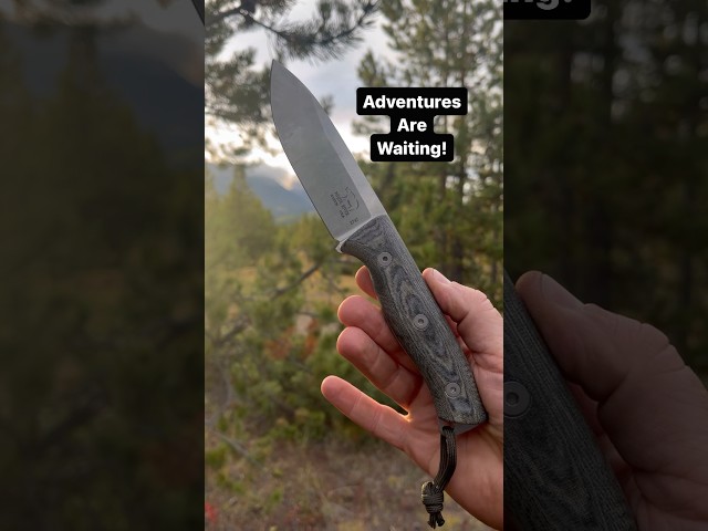 Mist mountain adventures! #knife #shorts