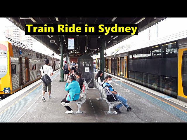 Train Ride in Sydney - Beecroft to Strathfield + Walking Strathfield Station | ASMR Train Ambience