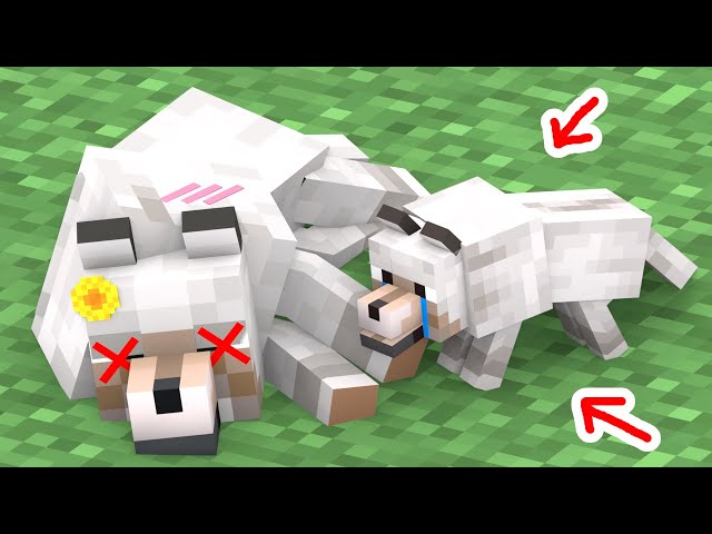 Monster School : Baby Wolf Lost His Mother - Minecraft Animation