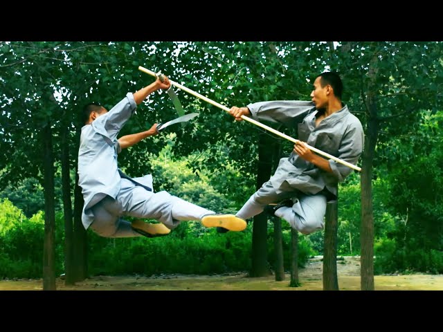 Can You Learn Kung Fu In Two Weeks?