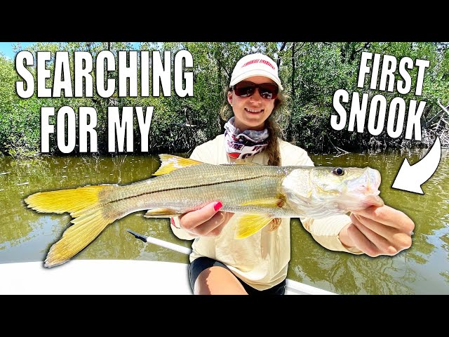 FIRST SNOOK | Florida Inshore Fishing with Live Shrimp!