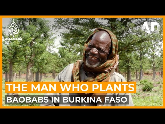 The man who plants baobabs: A Burkina Faso hero | Africa Direct Documentary