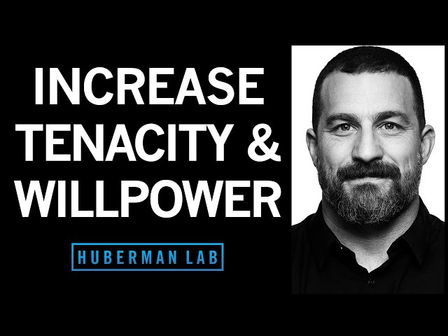 How to Increase Your Willpower & Tenacity | Huberman Lab Podcast