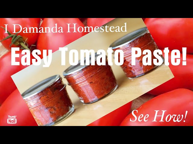 The Easy Way to Make Tomato Paste! No Seeding or Peeling!