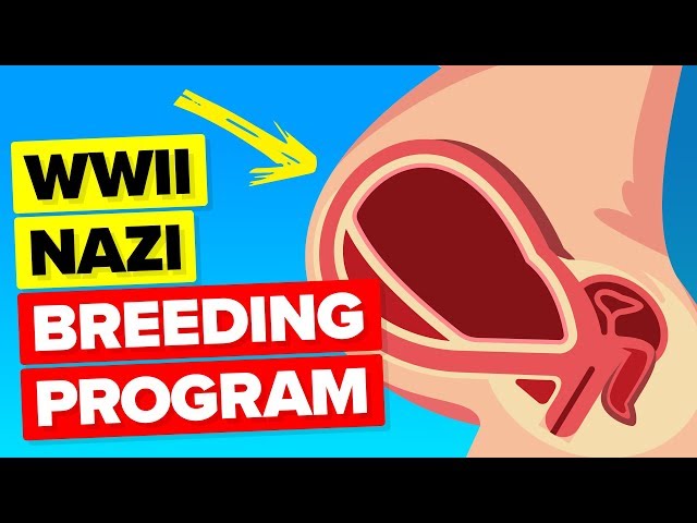 The WWII Nazi Breeding Plan