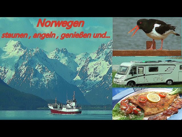 Norwegen: Mit Wohnmobil & Angel, vom Polarkreis auf die Vesteralen und...