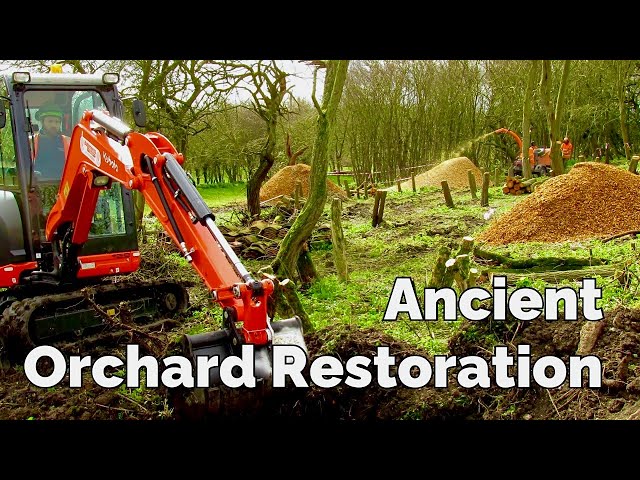 Ancient Orchard and Meadow Restoration - Yorkshire - England - 4K