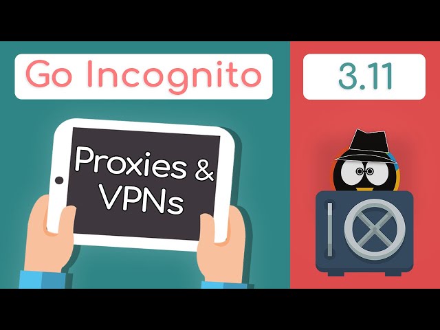 Proxies & VPNs - Are They Good For Privacy? | Go Incognito 3.11