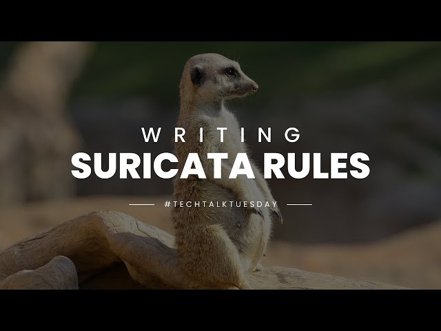 Writing Suricata Rules: Understanding The Basic Rule Format