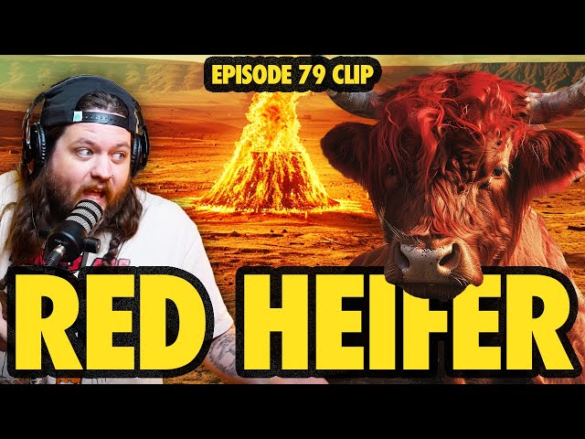 THE RED HEIFER IS BEING SACRIFICED IN ISRAEL AFTER 2000 YEARS? | NINJAS ARE BUTTERFLIES