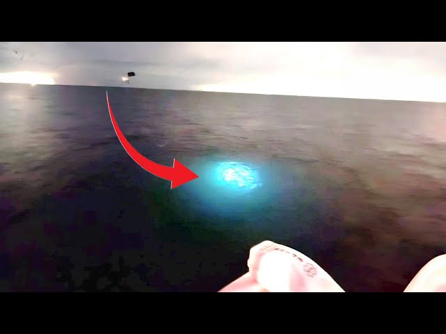 Shocking UFO Encounters the Government Doesn't Want You To See - Part 2