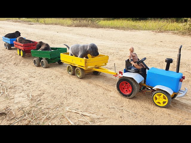 How To Make Mini Tractor From Wood With 4 Trailers and 4 Baby Dogs