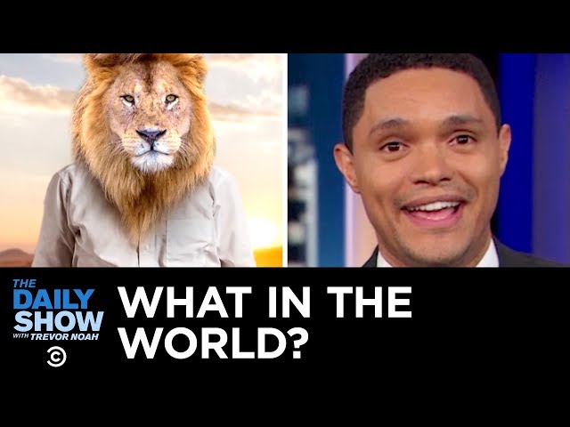 What in the World? | The Daily Show