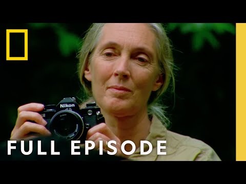 National Geographic Full Episodes