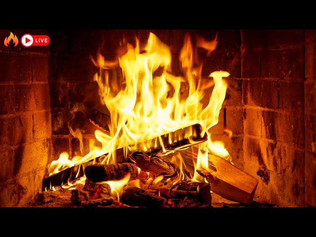 Fireplace (Live 24/7) 🔥 🔥 🔥 Cozy Fireplace easy to sleep relieve stress and anxiety